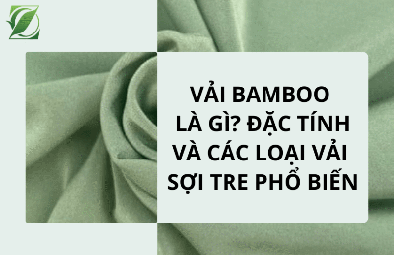 Vải Bamboo là gì? Đặc tính và các loại vải sợi tre phổ biến