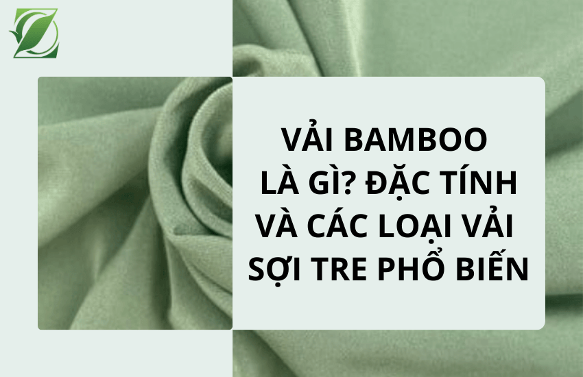 Vải Bamboo là gì? Đặc tính và các loại vải sợi tre phổ biến